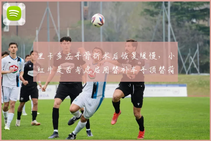 里卡多左手骨折术后恢复缓慢，小红牛是否考虑启用替补车手顶替荷兰站？