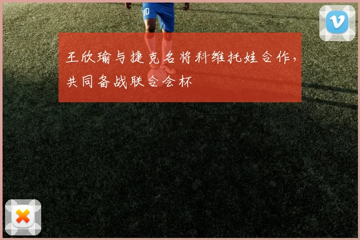 王欣瑜与捷克名将科维托娃合作,共同备战联合会杯